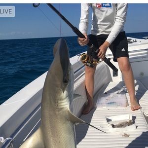 Meet your Posher, Murray